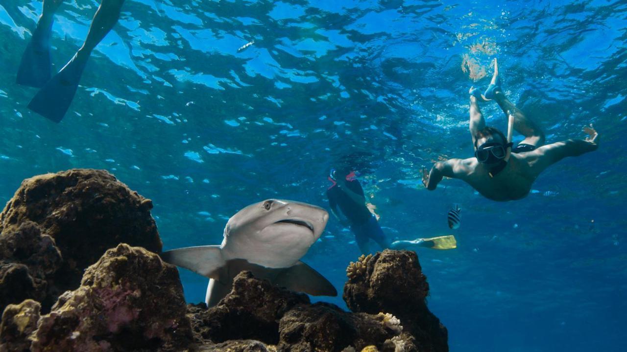 Barefoot Kuata Island Resort المظهر الخارجي الصورة